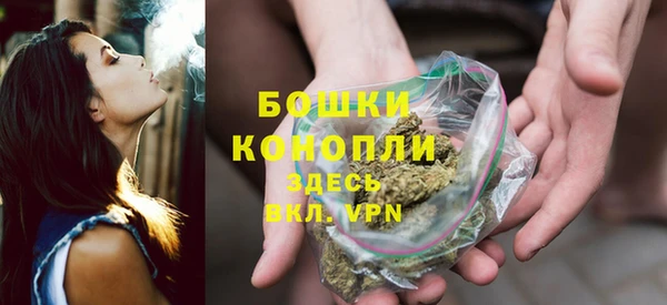 прущие крисы Костерёво