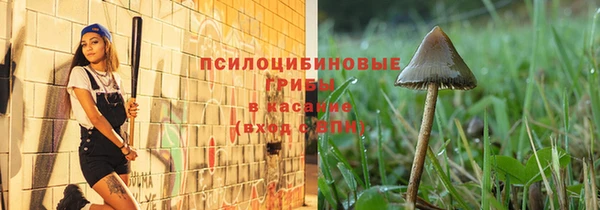прущие крисы Костерёво
