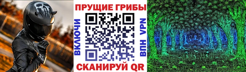 Псилоцибиновые грибы прущие грибы  Купить  Судак