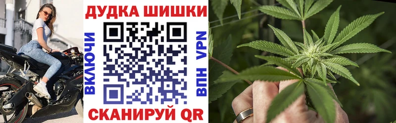 Купить закладки  Судак  Бошки марихуана семена 